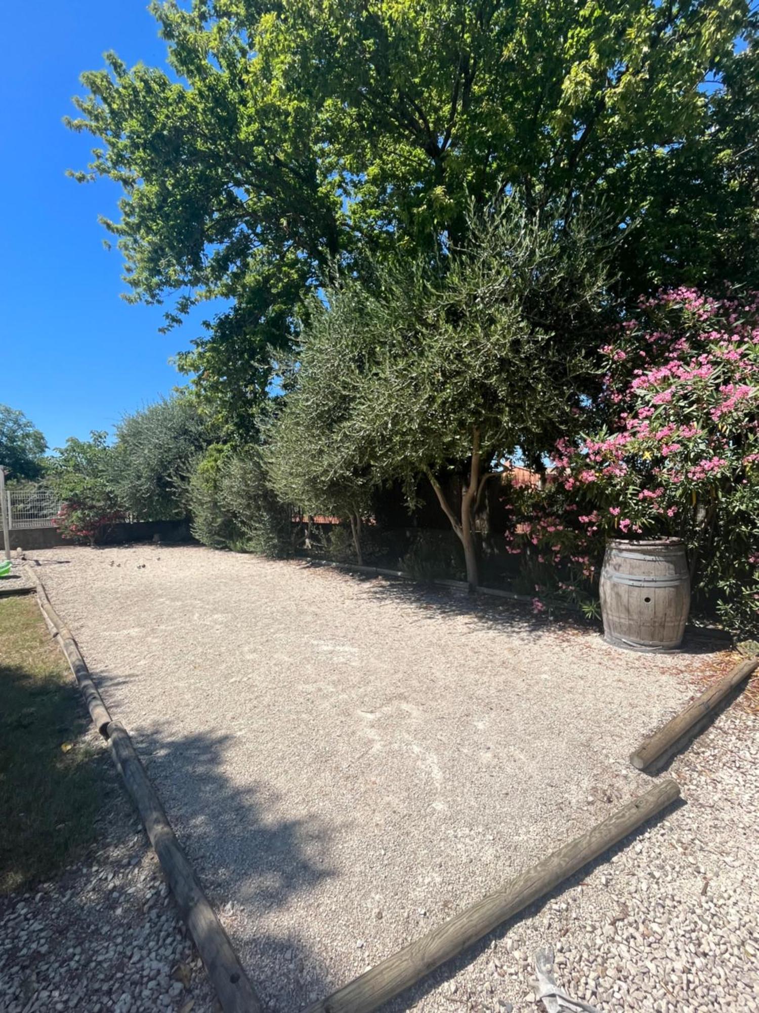 Studio Menthe-Clim-Terrain De Petanque-Piscine Collective Saint-Paul-Trois-Chateaux Ngoại thất bức ảnh